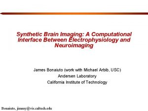 Synthetic Brain Imaging A Computational Interface Between Electrophysiology