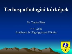 Terhespathologiai krkpek Dr Tams Pter PTE OK Szlszeti
