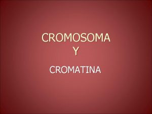 CROMOSOMA Y CROMATINA CROMOSOMA n Se le denomina