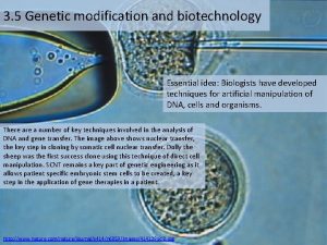 3 5 Genetic modification and biotechnology Essential idea