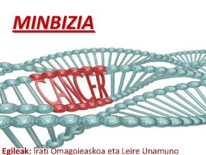 MINBIZIA Egileak Irati Omagoieaskoa eta Leire Unamuno Lehenengo