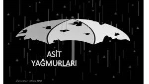 AST YAMURLARI Asit Yamuru Nedir Asitler suyla hidrojen