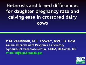 Heterosis and breed differences for daughter pregnancy rate