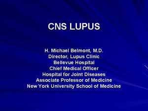 CNS LUPUS H Michael Belmont M D Director