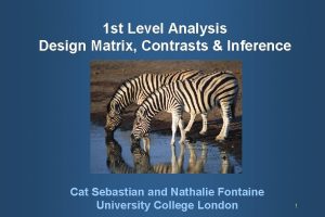 1 st Level Analysis Design Matrix Contrasts Inference