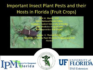 Important Insect Plant Pests and their Hosts in