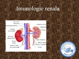 Imunologie renala Manifestri clinice ale bolilor glomerulare Proteinurie