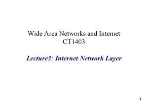 Wide Area Networks and Internet CT 1403 Lecture