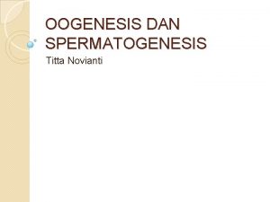 OOGENESIS DAN SPERMATOGENESIS Titta Novianti OOGENESIS Pembelahan meiosis