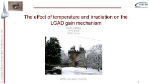 N Cartiglia Effect of Temperature and Fluence on