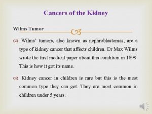 Cancers of the Kidney Wilms Tumor Wilms tumors