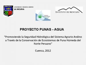 UNIVERSIDAD NACIONAL AGRARIA LA MOLINA PROYECTO PUNAS AGUA