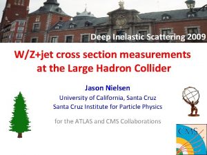 Deep Inelastic Scattering 2009 WZjet cross section measurements