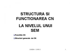 STRUCTURA SI FUNCTIONAREA CN LA NIVELUL UNUI SEM