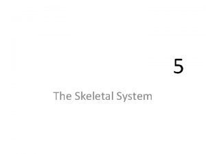 5 The Skeletal System The Skeletal System Parts