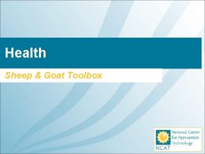 Health Sheep Goat Toolbox The best animals are