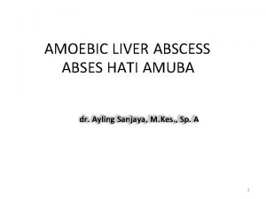 AMOEBIC LIVER ABSCESS ABSES HATI AMUBA dr Ayling