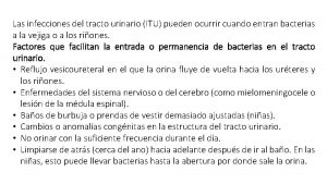 Las infecciones del tracto urinario ITU pueden ocurrir