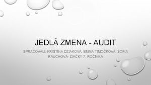 JEDL ZMENA AUDIT SPRACOVALI KRISTNA DZIAKOV EMMA TIMOKOV