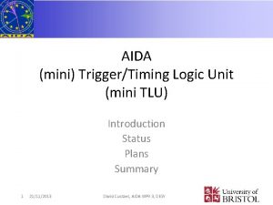 AIDA mini TriggerTiming Logic Unit mini TLU Introduction