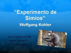 Experimento de Simios Wolfgang Kohler Mara Claudia Chu