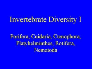 Invertebrate Diversity I Porifera Cnidaria Ctenophora Platyhelminthes Rotifera