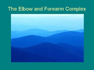 The Elbow and Forearm Complex Anatomy of the