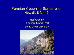 Permian Coconino Sandstone How did it form Research