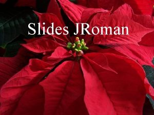Slides JRoman Lenda da Flor de Natal A