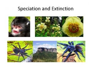 Speciation and Extinction Prefixes Suffixes and Vocabulary Genetic