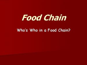 Food Chain Whos Who in a Food Chain