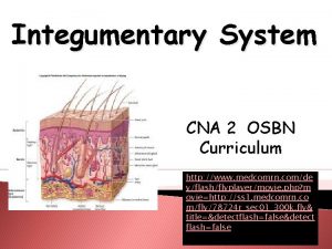 Integumentary System CNA 2 OSBN Curriculum http www