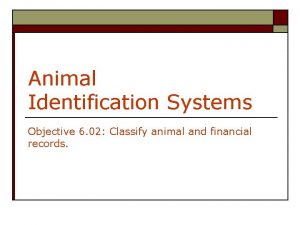 Animal Identification Systems Objective 6 02 Classify animal