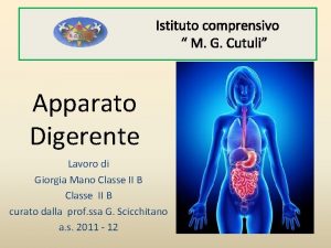 Istituto comprensivo M G Cutuli Apparato Digerente Lavoro