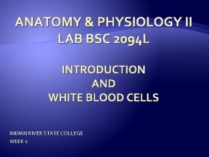ANATOMY PHYSIOLOGY II LAB BSC 2094 L INTRODUCTION