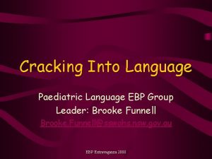 Cracking Into Language Paediatric Language EBP Group Leader