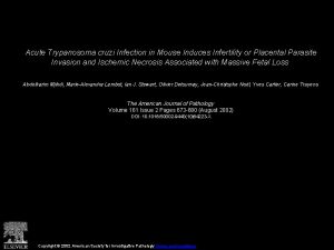 Acute Trypanosoma cruzi Infection in Mouse Induces Infertility