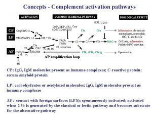 Concepts Complement activation pathways COMMON TERMINAL PATHWAY ACTIVATION