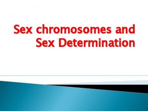 Sex chromosomes and Sex Determination INTRODUCTION Sex chromosomes
