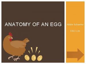 ANATOMY OF AN EGG Abbie Schaefer EDCI 270