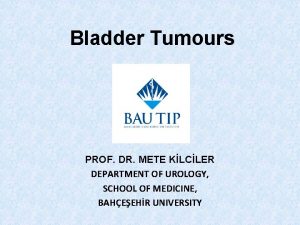 Bladder Tumours PROF DR METE KLCLER DEPARTMENT OF