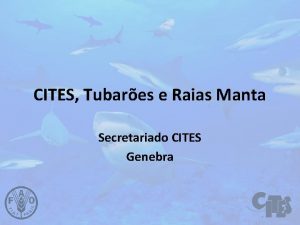 CITES Tubares e Raias Manta Secretariado CITES Genebra