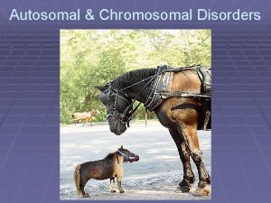 Autosomal Chromosomal Disorders Human Genetic Disorders There are