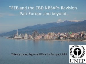 TEEB and the CBD NBSAPs Revision PanEurope and