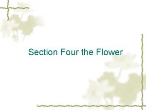 Section Four the Flower Part One Makeup and