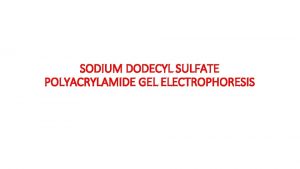 SODIUM DODECYL SULFATE POLYACRYLAMIDE GEL ELECTROPHORESIS Electrophoresis Electrophoresis