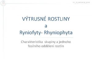 VY32INOVACE02 01 VTRUSN ROSTLINY a Ryniofyty Rhyniophyta Charakteristika