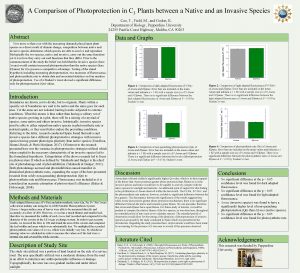 A Comparison of Photoprotection in C 3 Plants