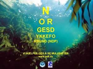 N OR GESD YKKEFO RBUND NDF VI HJELPER