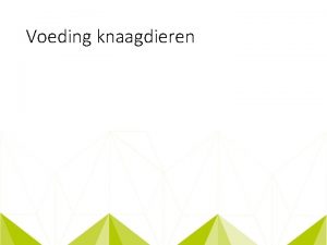 Voeding knaagdieren Natuurlijk gedrag Wat maakt een knaagdier